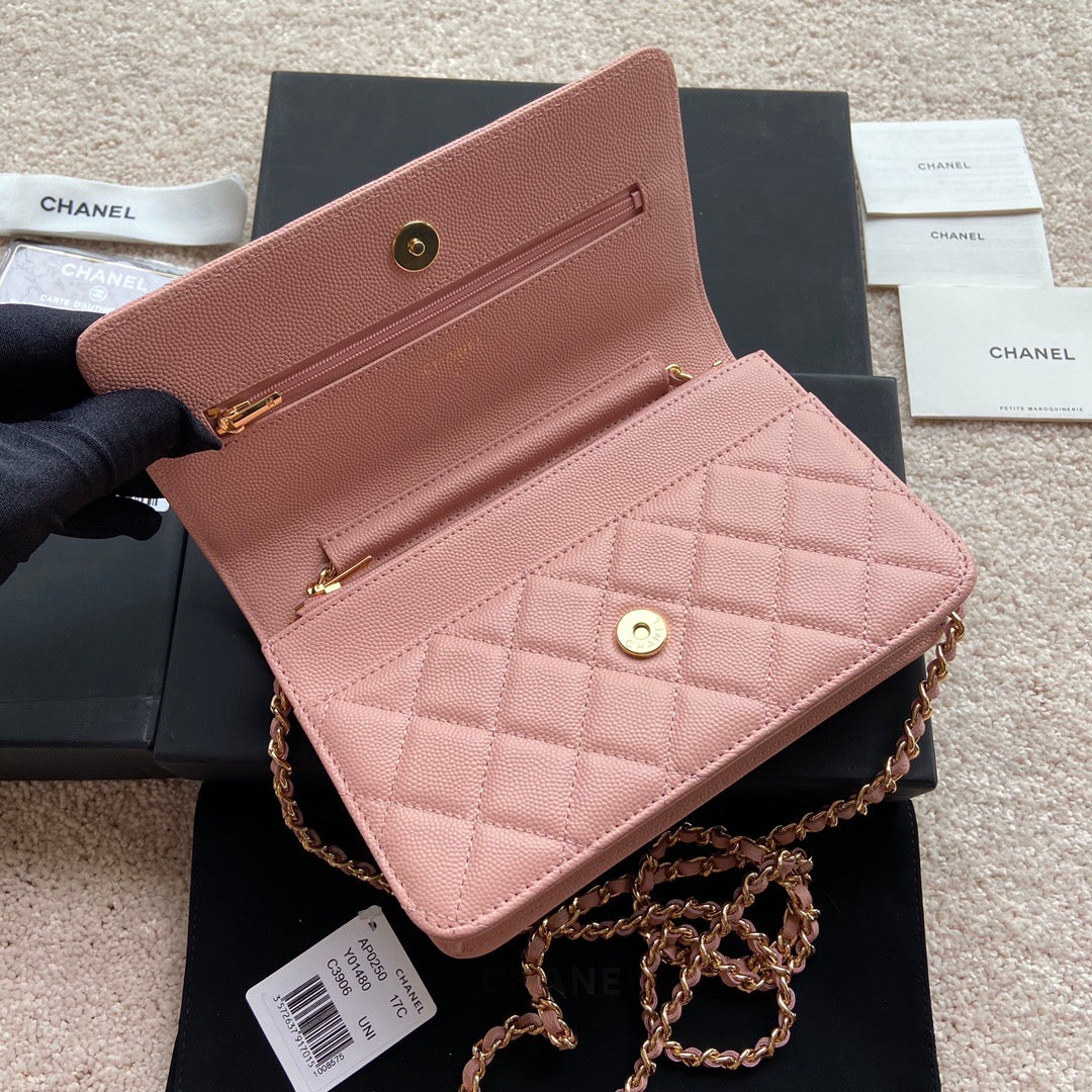 Coco Premium WOC Mini Bag